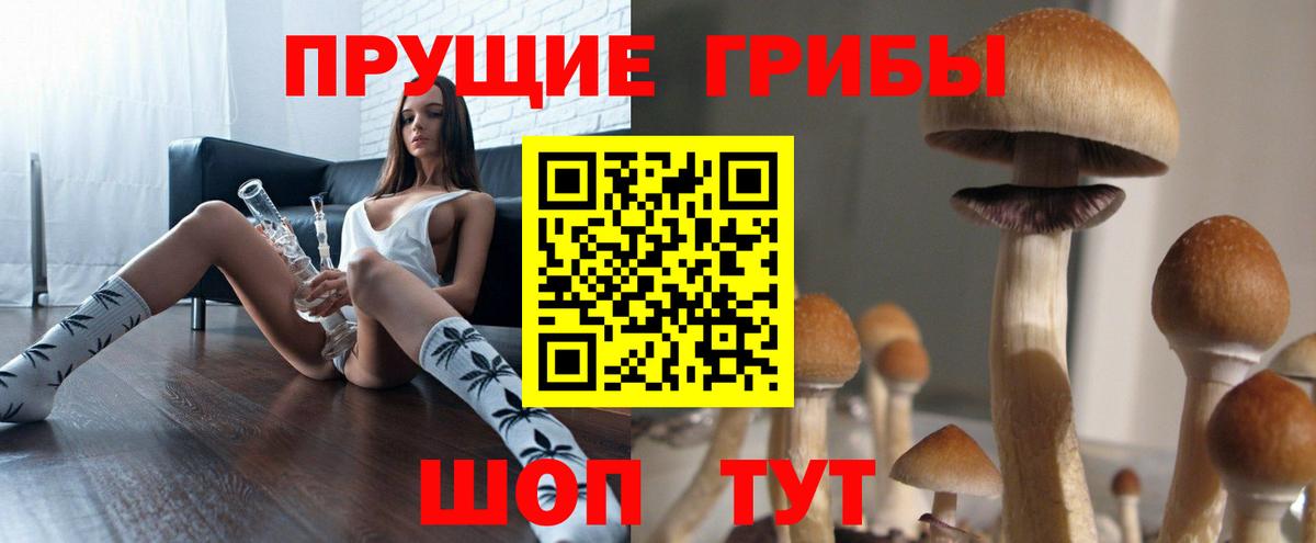 Павловский Посад  Галлюциногенные грибы Psilocybe  Вход с VPN  Псилоцибиновые грибы GOLDEN TEACHER 